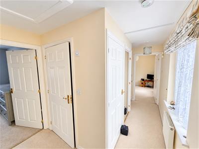 Picture 7